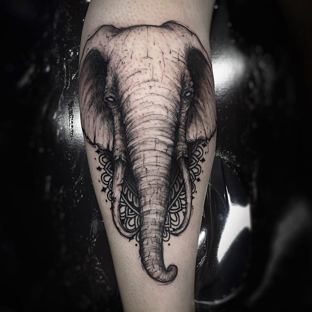 elephant