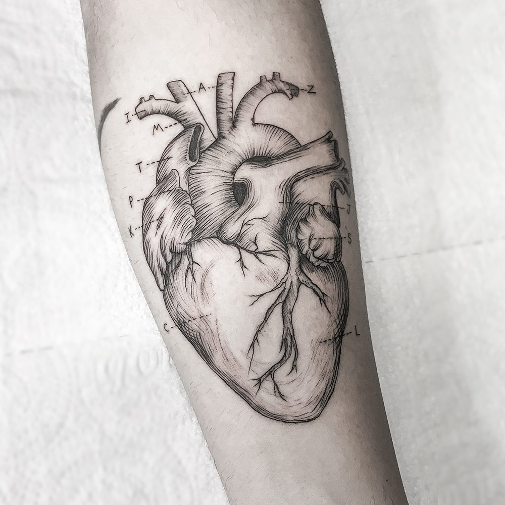 heart